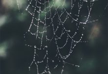 哪里抢注域名比较好-三五互联知识库