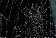 怎么大批量的抢注域名-三五互联知识库