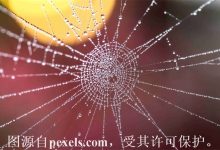 域名过期抢注成功率怎么样-三五互联知识库