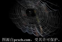 云服务器导入镜像是什么意思-三五互联知识库