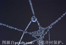 赎回期的域名可以抢注吗-三五互联知识库