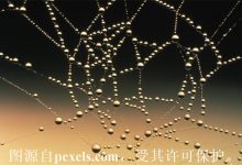 抢注域名多长时间知道结果-三五互联知识库