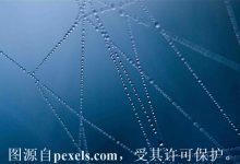 抢注双拼.com域名-三五互联知识库