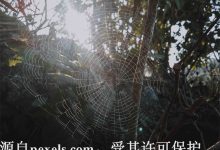 云服务器数据盘是干什么的-三五互联知识库