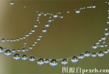 在服务器上部署WEb服务的步骤-三五互联知识库