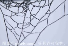 云服务器可以怎么节省开支-三五互联知识库