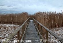 虚拟主机记录值是什么意思?-三五互联知识库