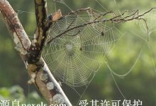 服务器租赁-三五互联知识库