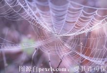 云服务器怎么连接不上?怎么办呢?-三五互联知识库