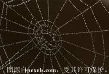 ssl是什么意思-三五互联知识库