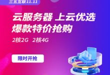 2025年双11香港云服务器租用哪里便宜-三五互联知识库
