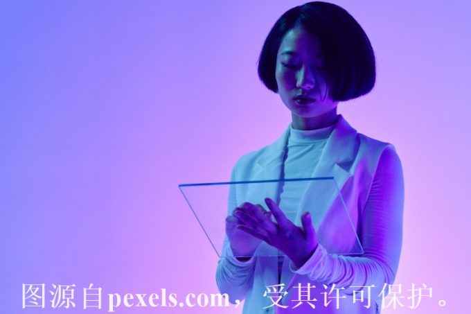 域名的价格