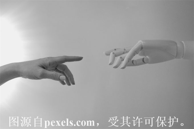 中文域名多少钱