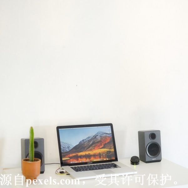 域名ip查询