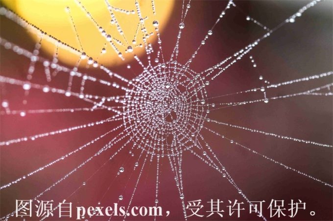 域名过期抢注成功率怎么样