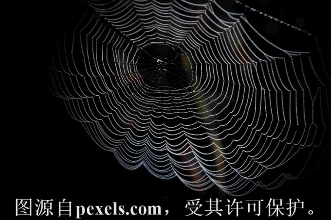 域名到期后多久可以抢