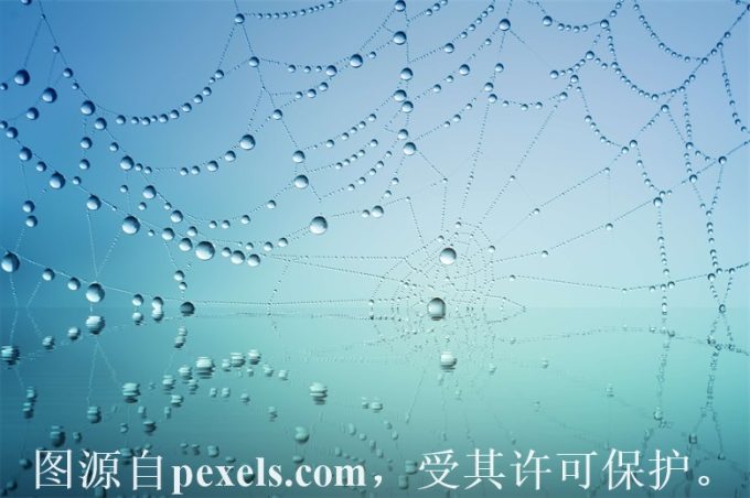 如何更好地了解域名抢注