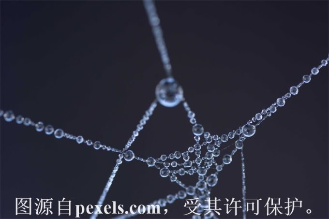域名抢注网
