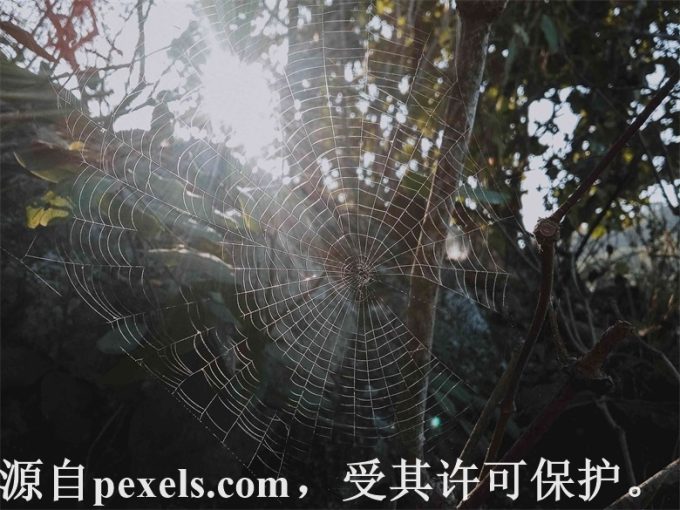 IIS 访问不了可能是由于哪些问题导致的