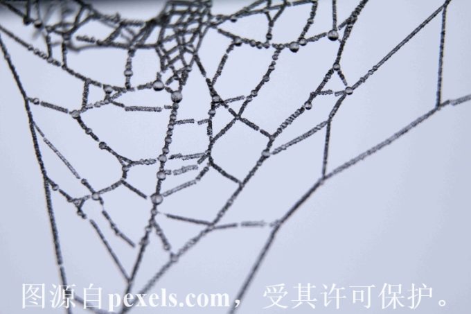 域名解析要付费吗？