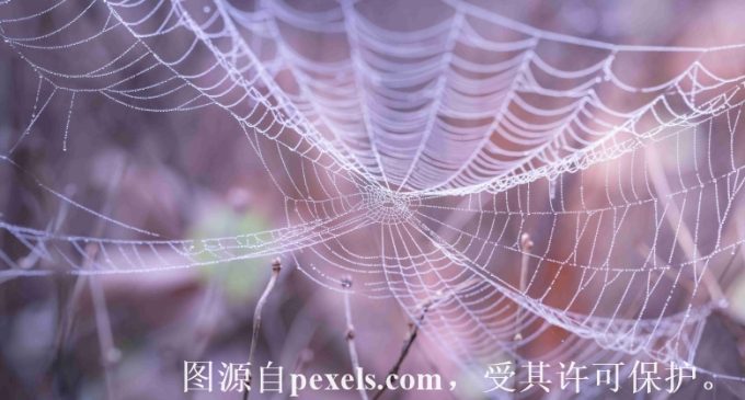 云服务器怎么连接不上？怎么办呢？