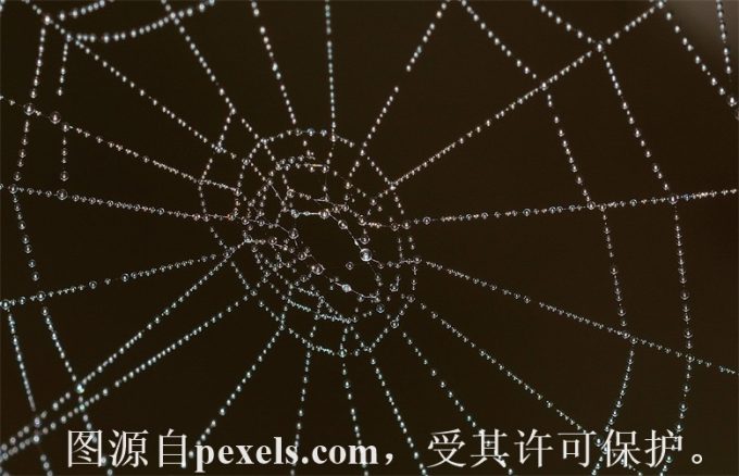 网站域名空间购买的费用