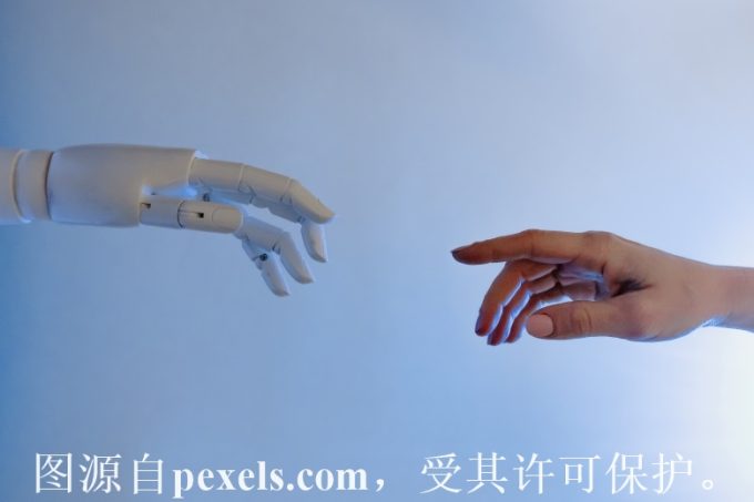 哪里可以买权重域名
