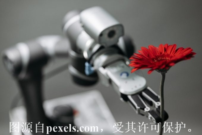 如何注册中文域名